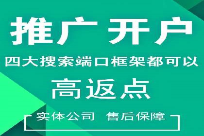 某企业通过SEM实现品牌与销售双增长的案例