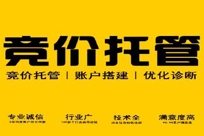 某某sem代运营公司助力企业实现线上营销目标